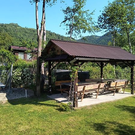 Casa De Vacanta Vidrighin Rau Sadului Bagian luar foto
