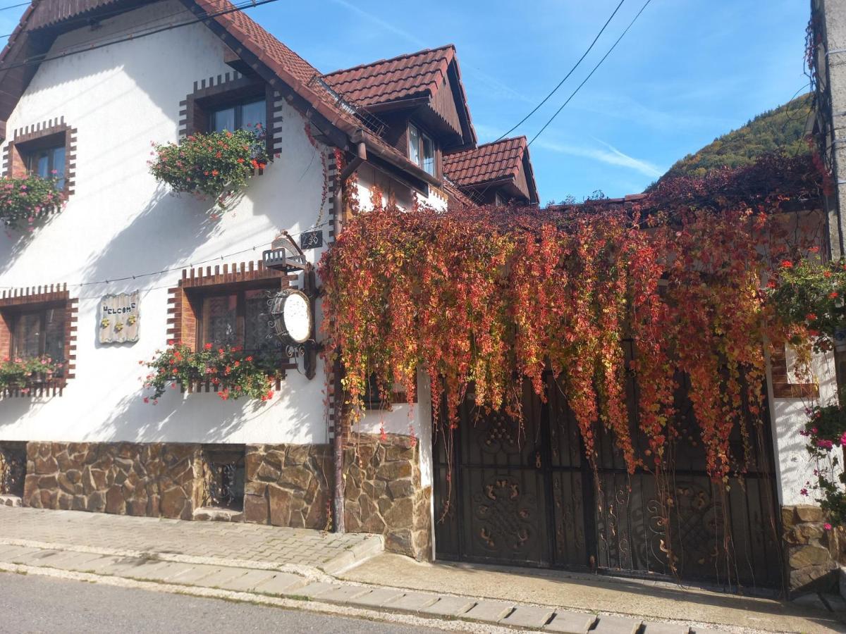 Casa De Vacanta Vidrighin Rau Sadului Bagian luar foto