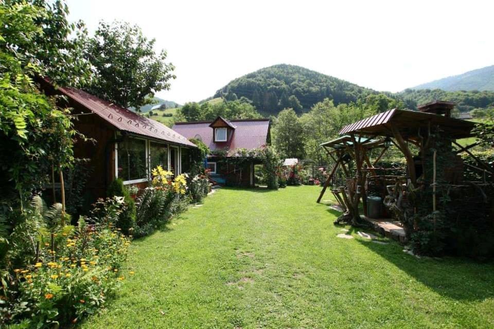 Casa De Vacanta Vidrighin Rau Sadului Bagian luar foto