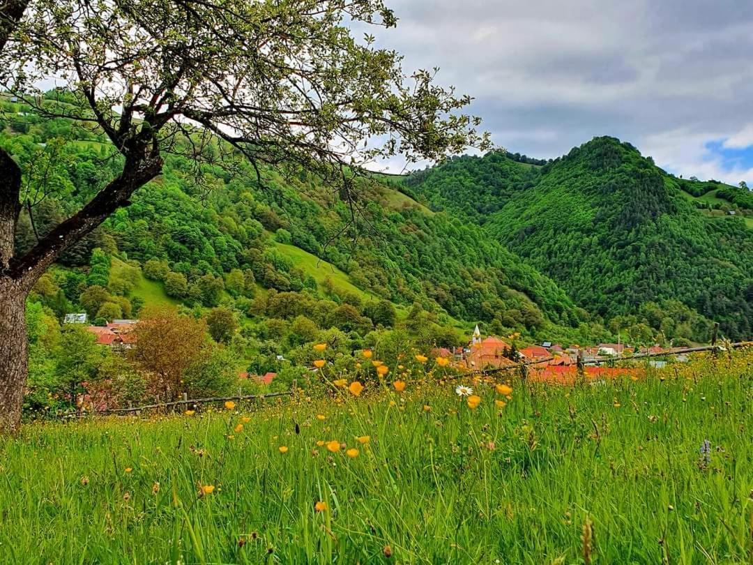 Casa De Vacanta Vidrighin Rau Sadului Bagian luar foto