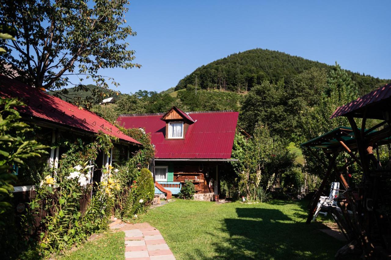 Casa De Vacanta Vidrighin Rau Sadului Bagian luar foto