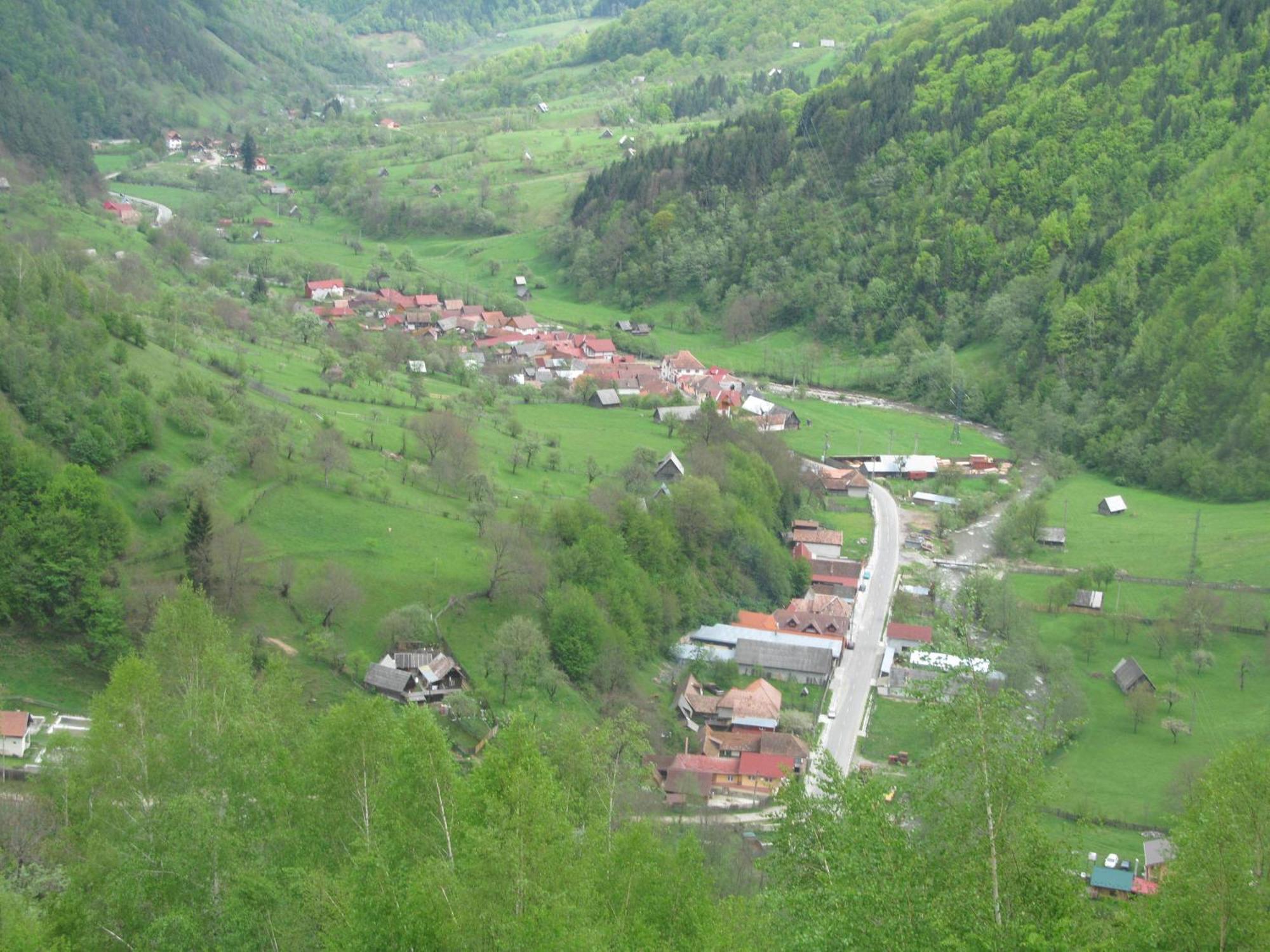 Casa De Vacanta Vidrighin Rau Sadului Bagian luar foto