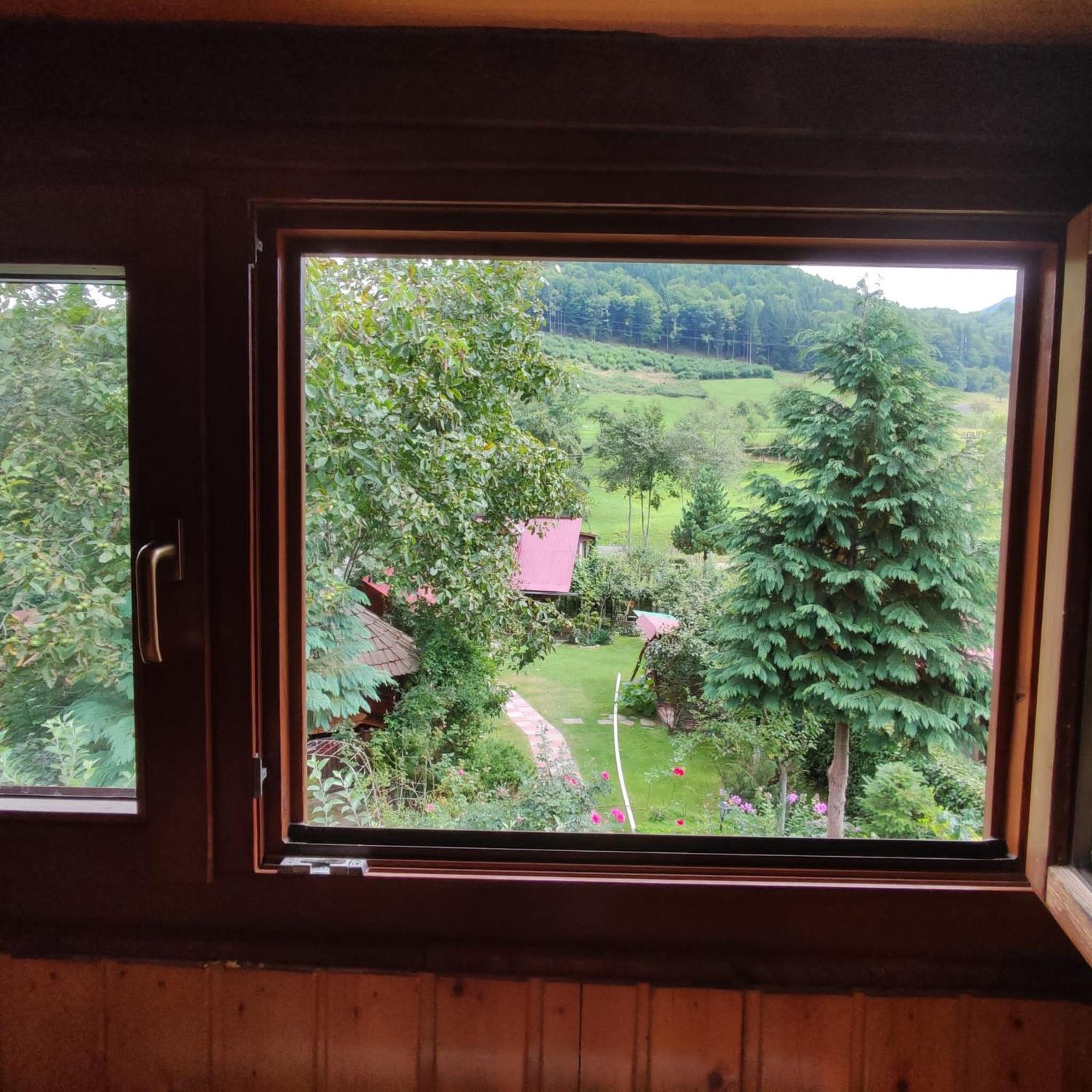 Casa De Vacanta Vidrighin Rau Sadului Ruang foto