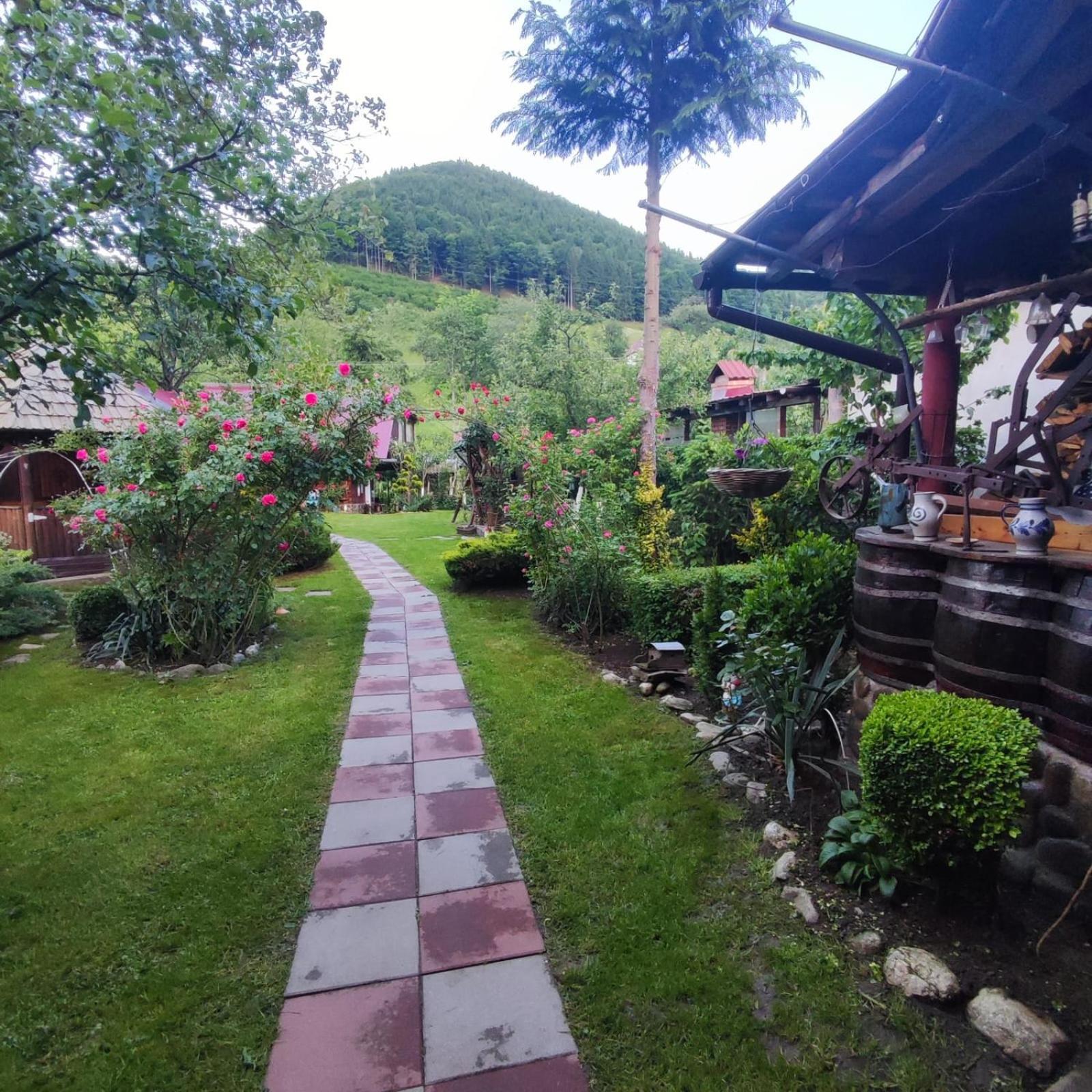Casa De Vacanta Vidrighin Rau Sadului Ruang foto
