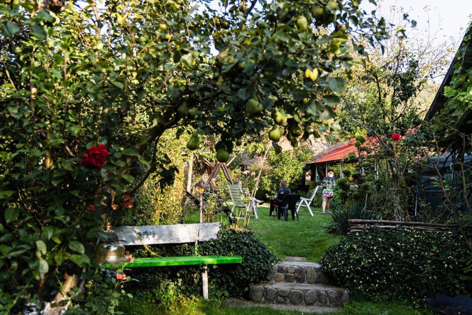 Casa De Vacanta Vidrighin Rau Sadului Ruang foto