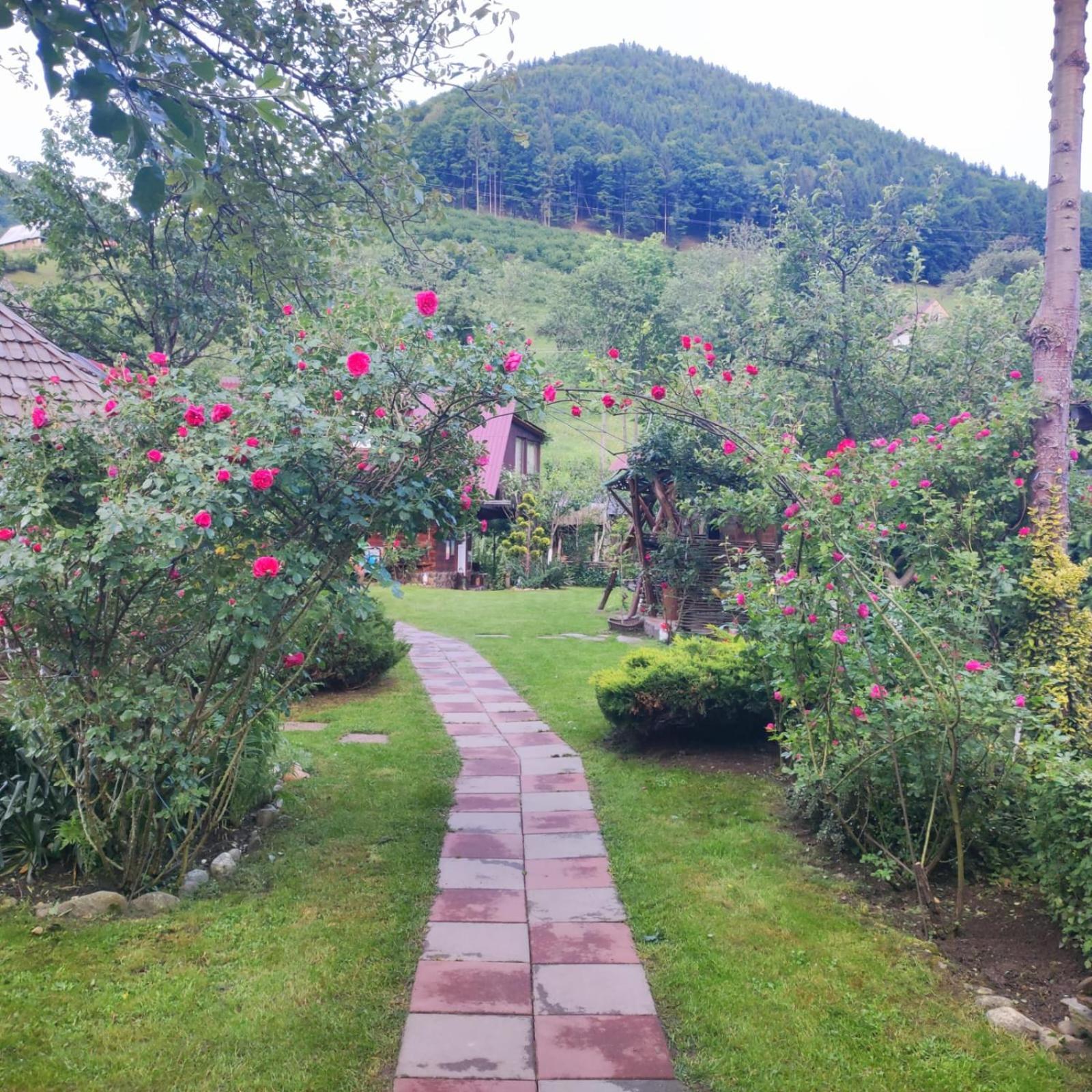 Casa De Vacanta Vidrighin Rau Sadului Ruang foto