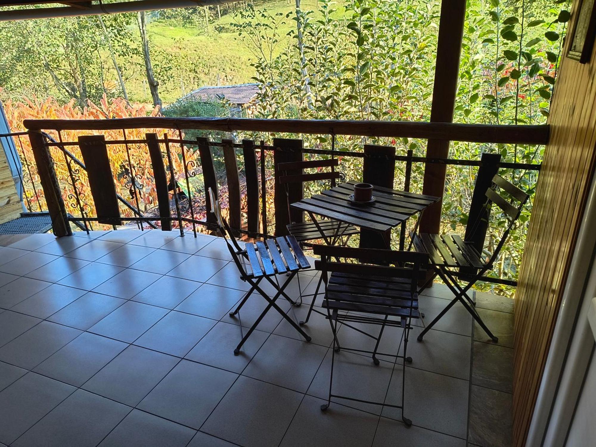 Casa De Vacanta Vidrighin Rau Sadului Ruang foto