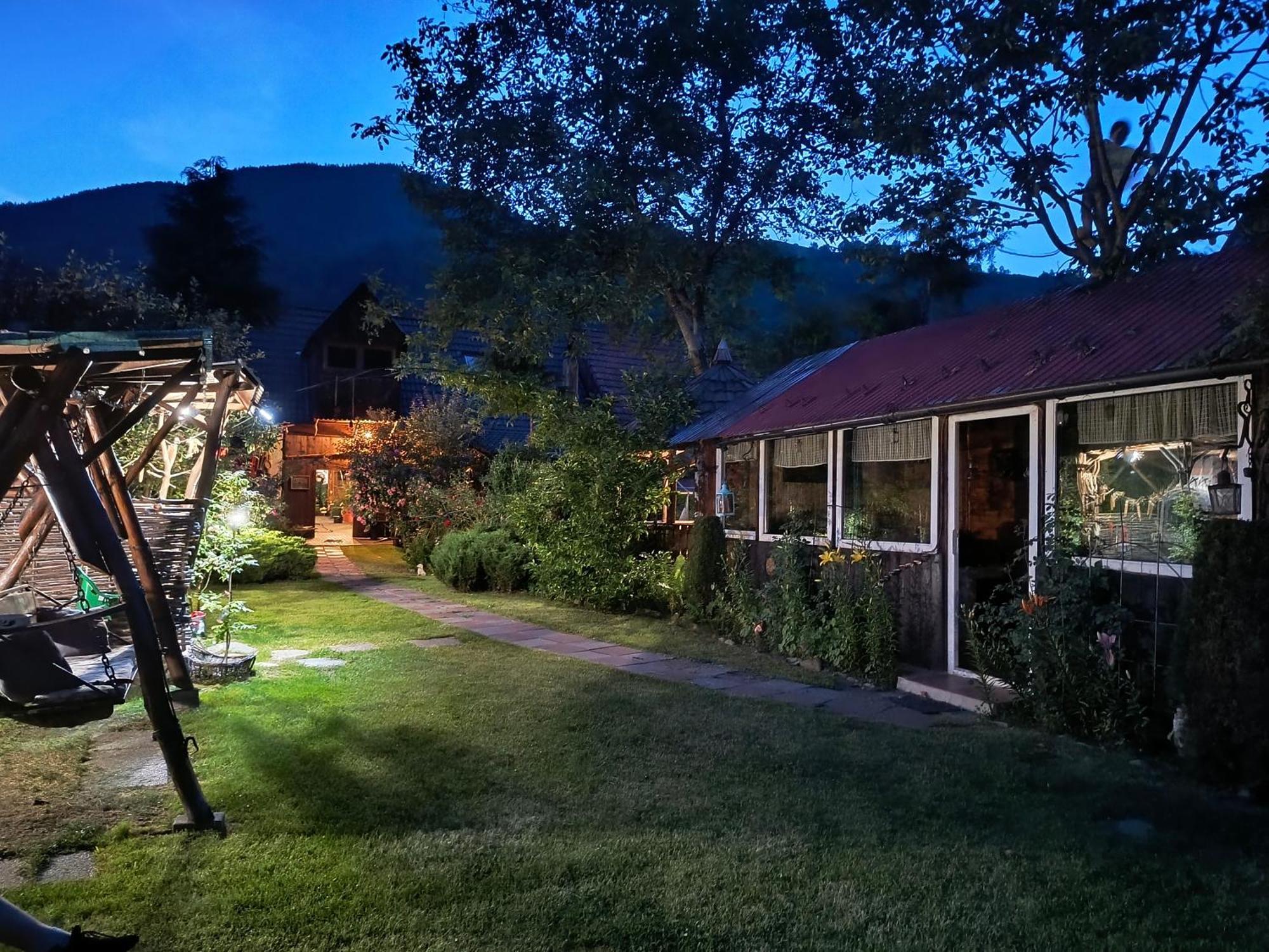 Casa De Vacanta Vidrighin Rau Sadului Bagian luar foto