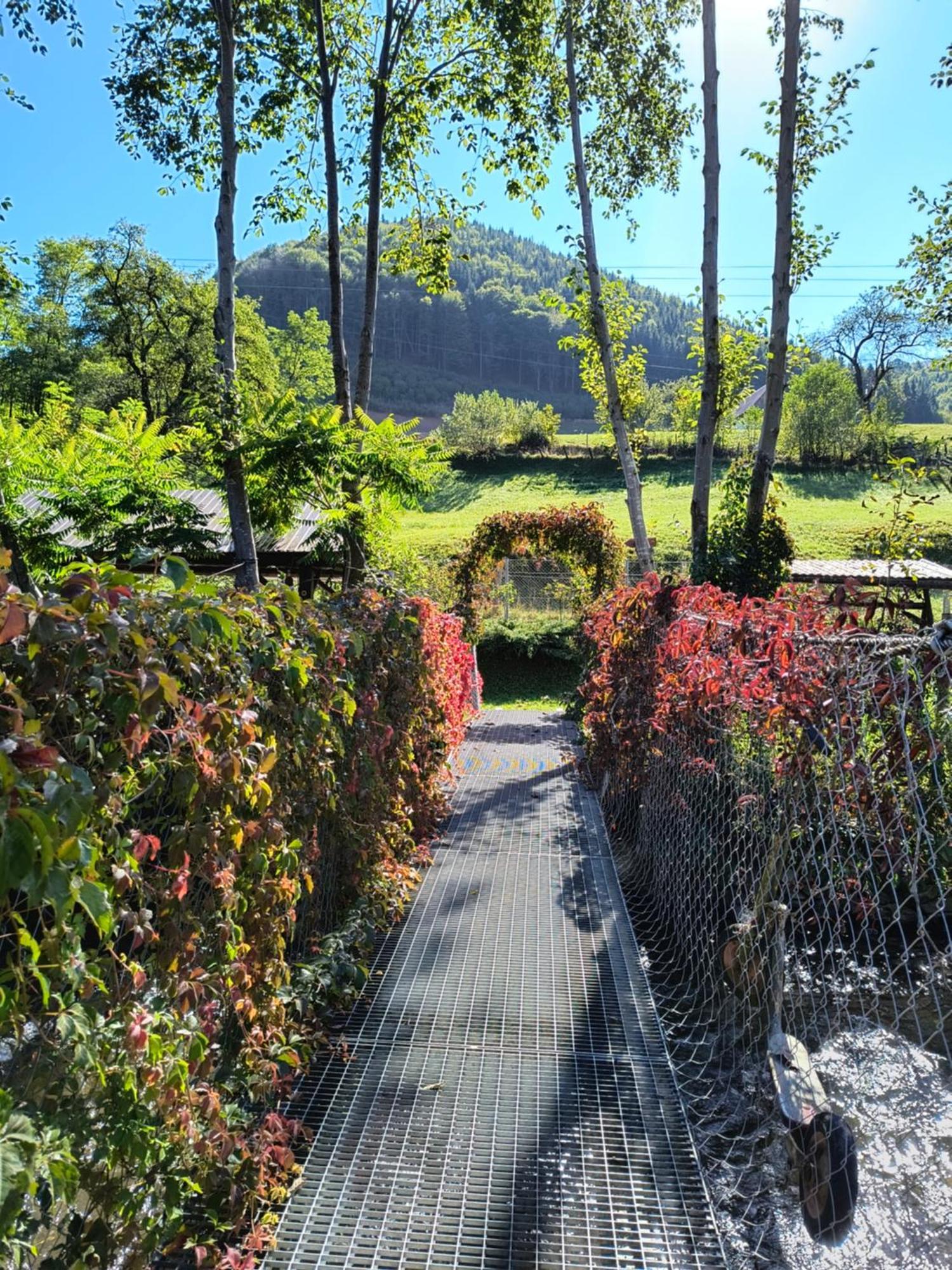 Casa De Vacanta Vidrighin Rau Sadului Bagian luar foto