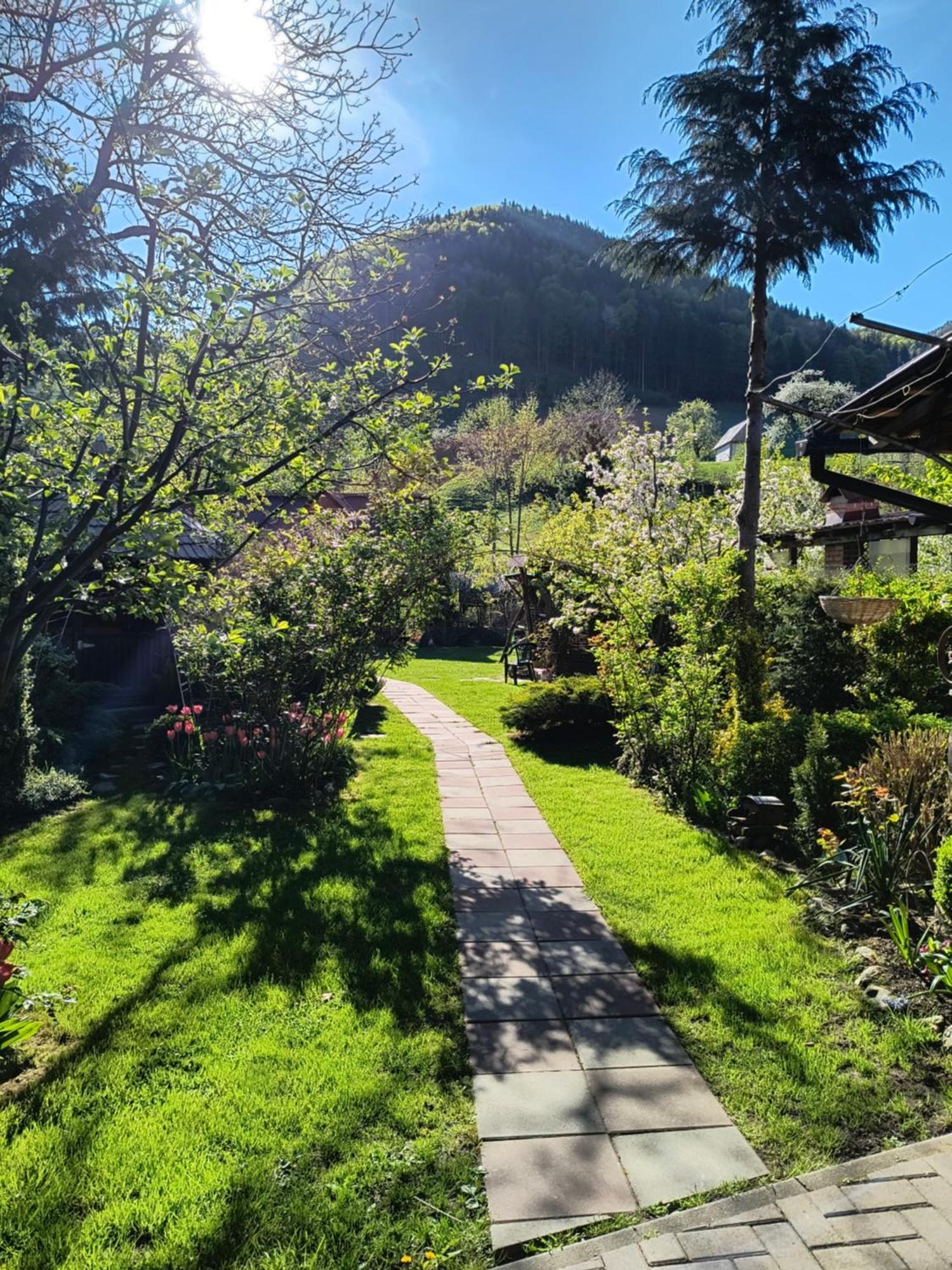 Casa De Vacanta Vidrighin Rau Sadului Bagian luar foto