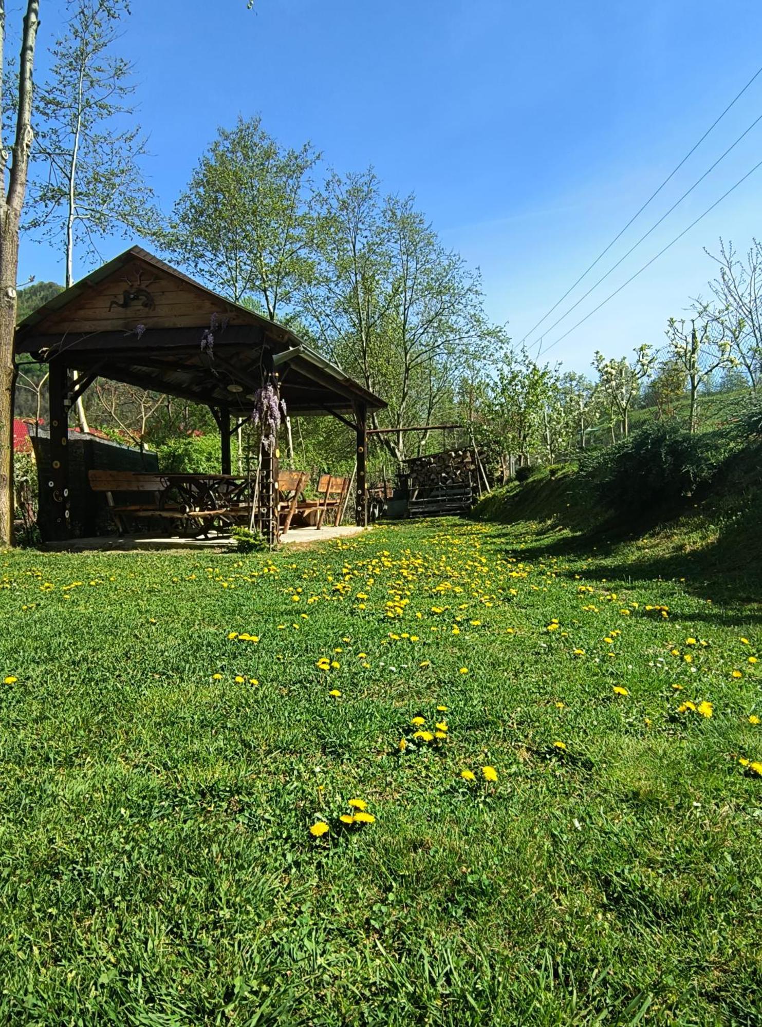 Casa De Vacanta Vidrighin Rau Sadului Bagian luar foto
